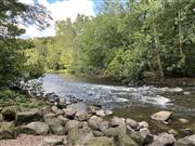 Rockyrapids.jpeg