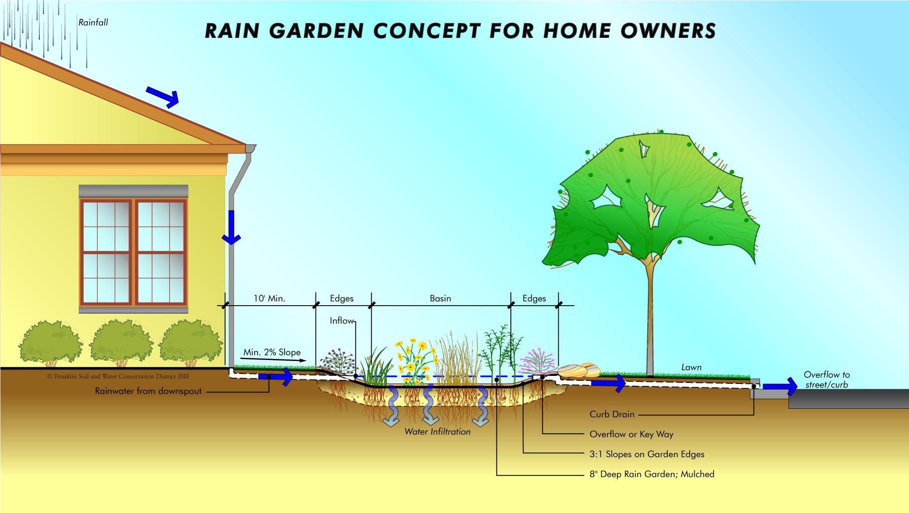 Rain Garden Lesson Plans At Diane Straub Blog