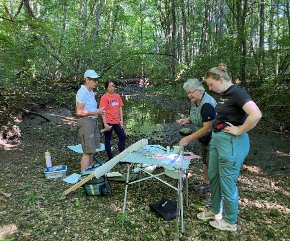 A group of people looks at macroinvertebrates collected from stream